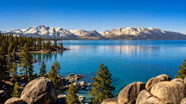 TMS-Buoy-Line-Intro-Cover